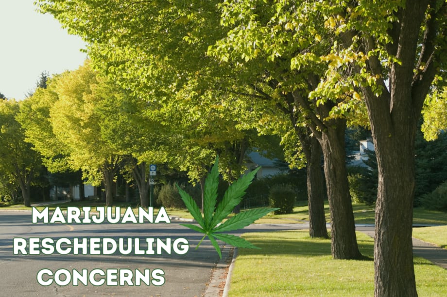 NTSB Flags Concerns Over Proposed Marijuana Changes