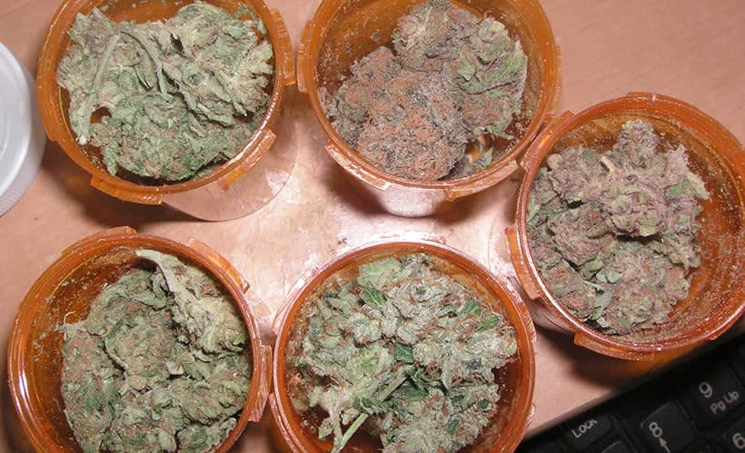 Expert to Show Marijuana’s Effect on the Brain While Driving