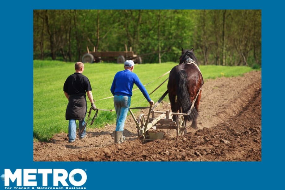 Performance Over Personality: Executives that are ‘Plow Horses’ 