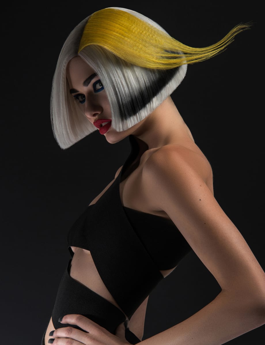 2019 NAHA Finalists: Master Hairstylist
