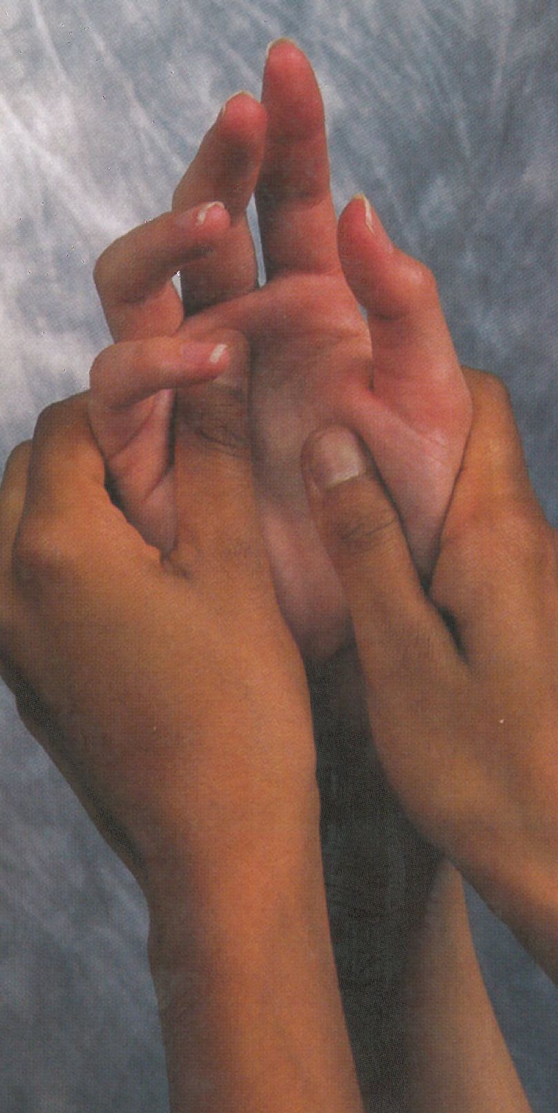 Massage Resource Guide