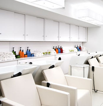 Salon of Distinction: Mizu, New York