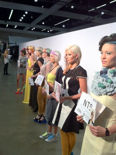 Goldwell's Color Zoom 2013...The Details and Reallusion!