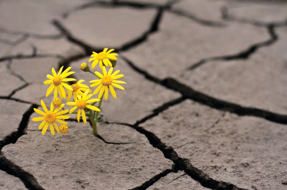 Overcoming Adversity