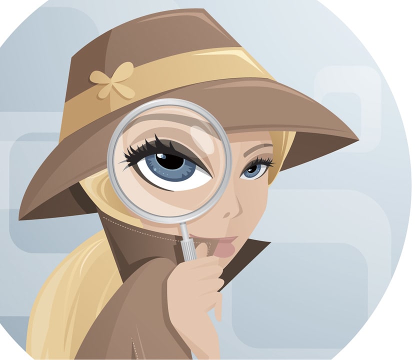 The Secret Life of a Salon Inspector
