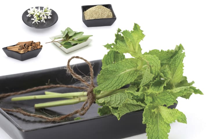 Pregnant Clients: Essential Oils to Avoid