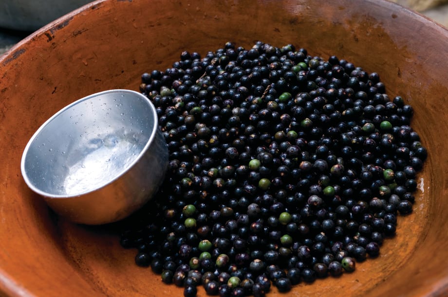 Secret Ingredient: Açai Berries