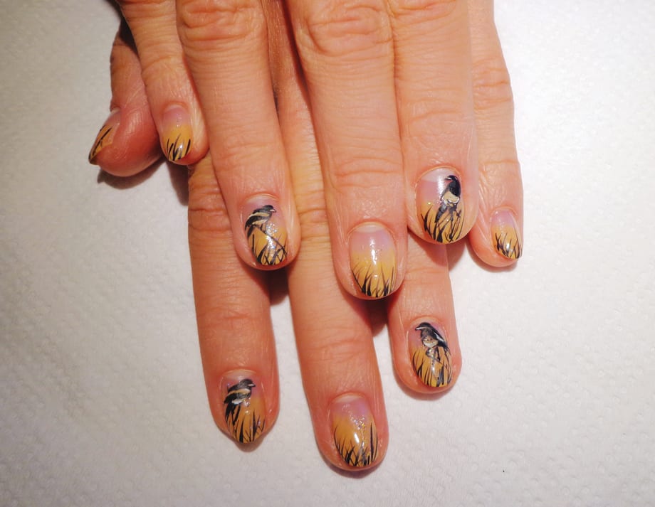 Wild Birds Nail Art