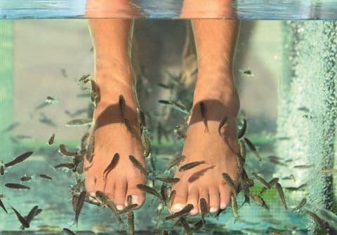NAILS 35th Anniversary Flashback: 2008, Fish Pedicures