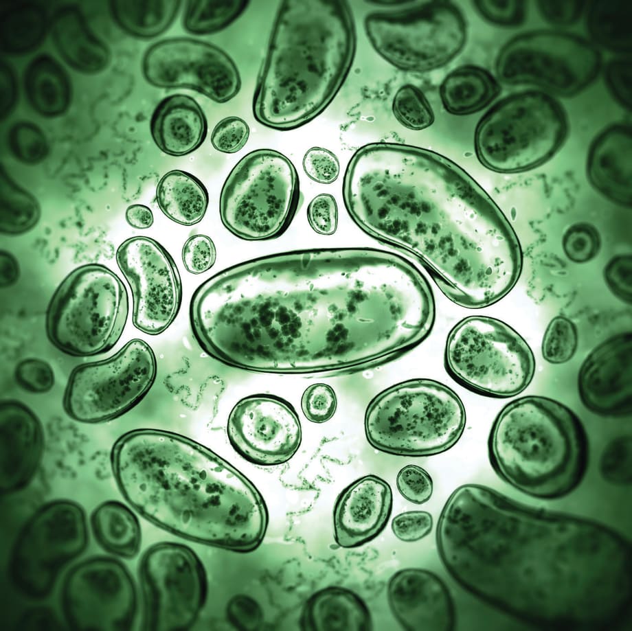 Healthy Living: Bloodborne Pathogens