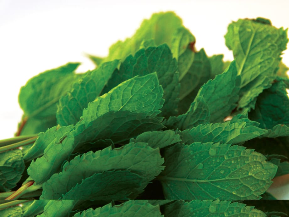 Secret Ingredient: Peppermint