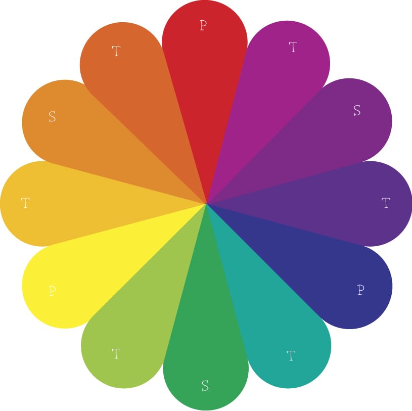 How We See Color