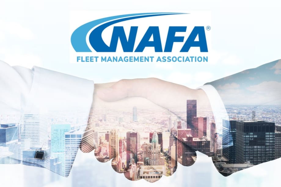 NAFA Adds New Team Members