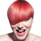 NAHA 2012 Finalists: Salon Team