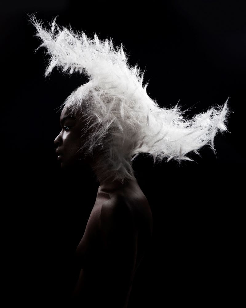 2023 NAHA Finalists: Master Hairstylist of the Year