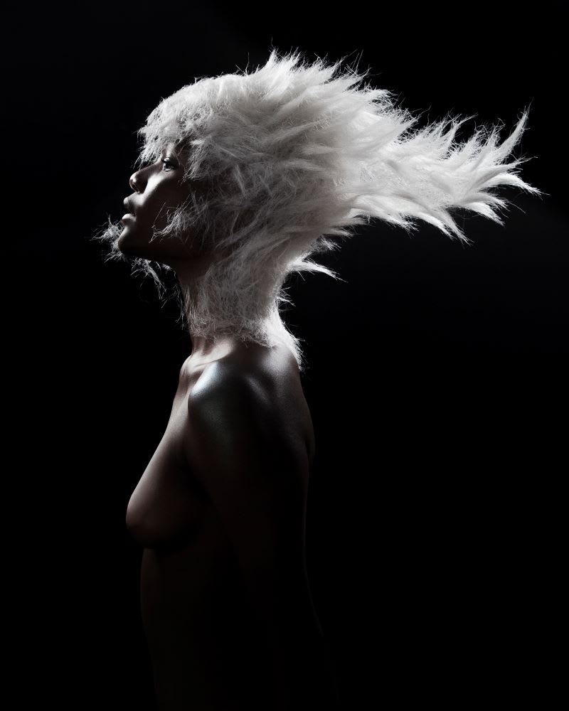 2023 NAHA Finalists: Master Hairstylist of the Year