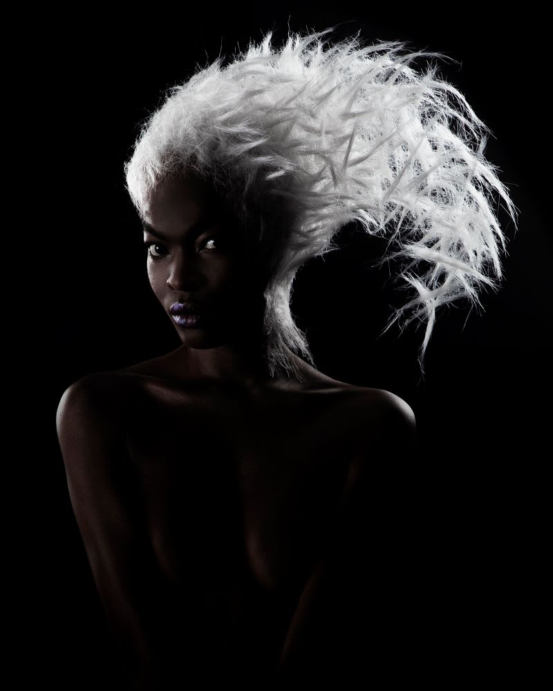 2023 NAHA Finalists: Master Hairstylist of the Year