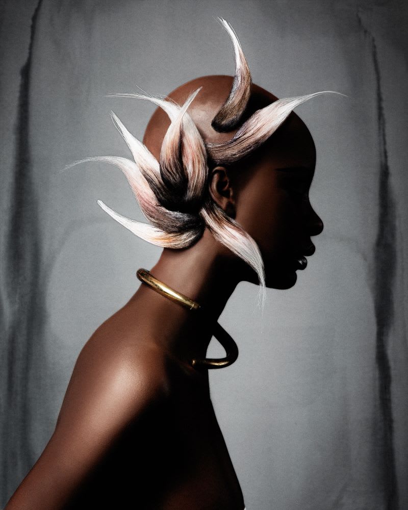2023 NAHA Finalists: Master Hairstylist of the Year