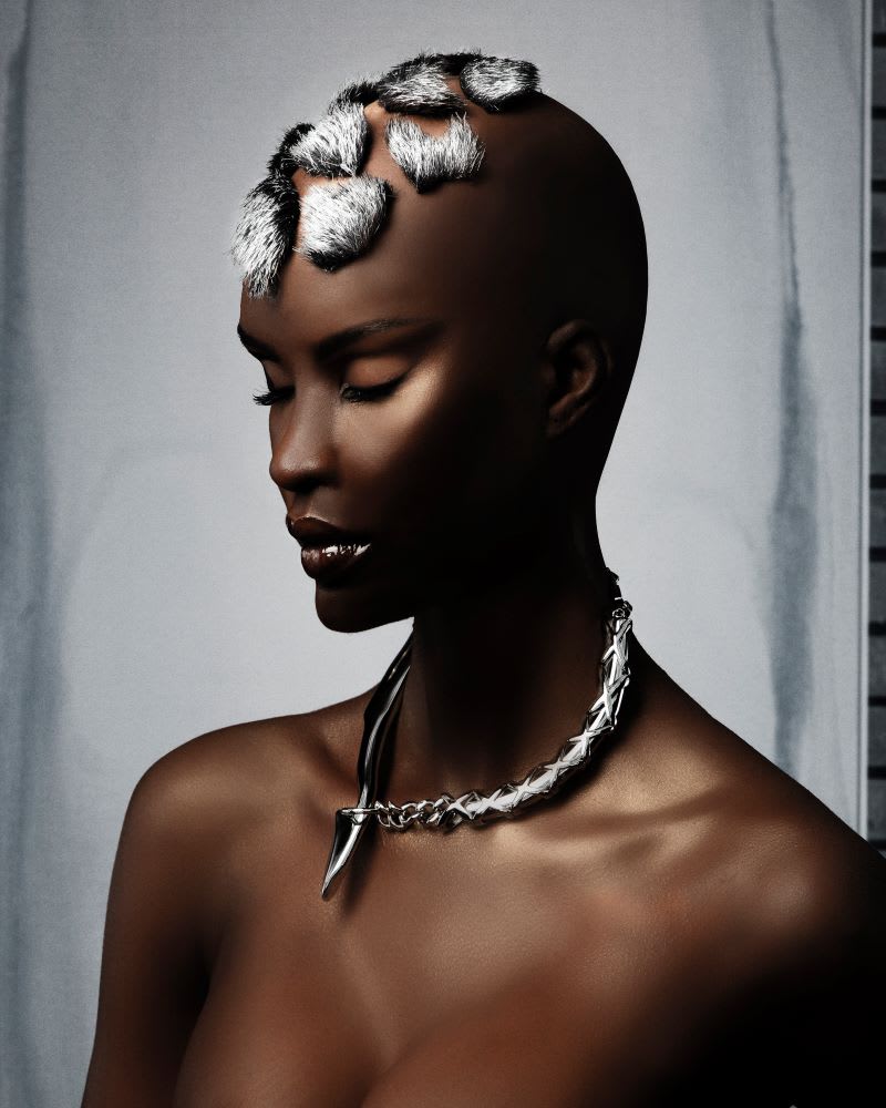 2023 NAHA Finalists: Master Hairstylist of the Year