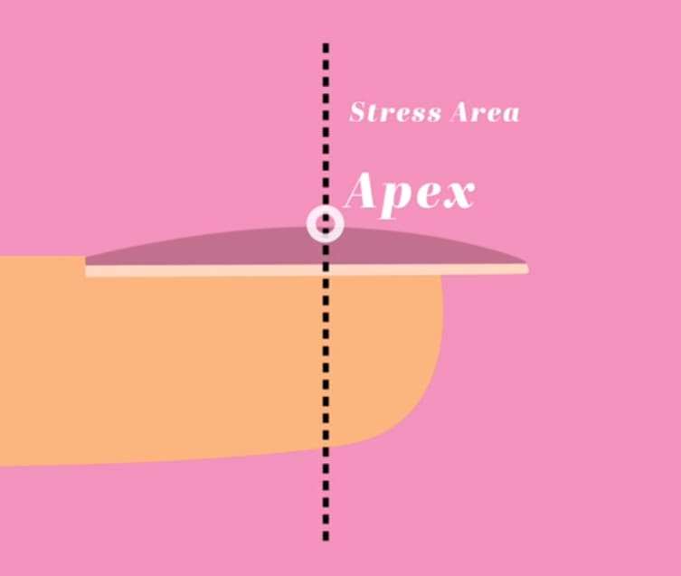 What Is a Nail Apex?