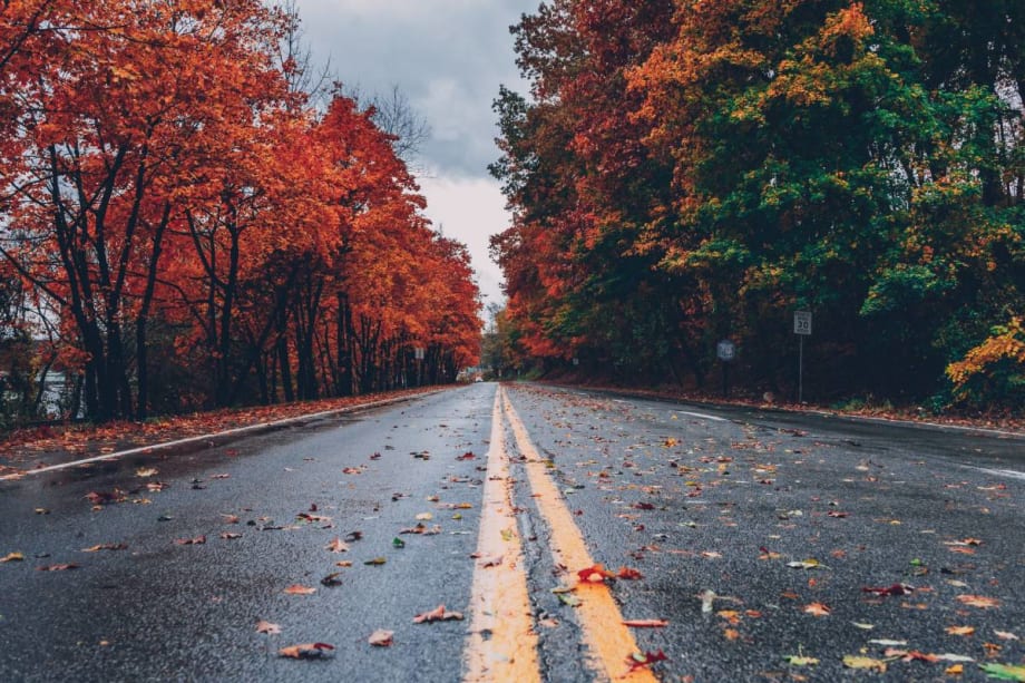 Nearly 8,300 U.S. Roadway Collisions Every Autumn