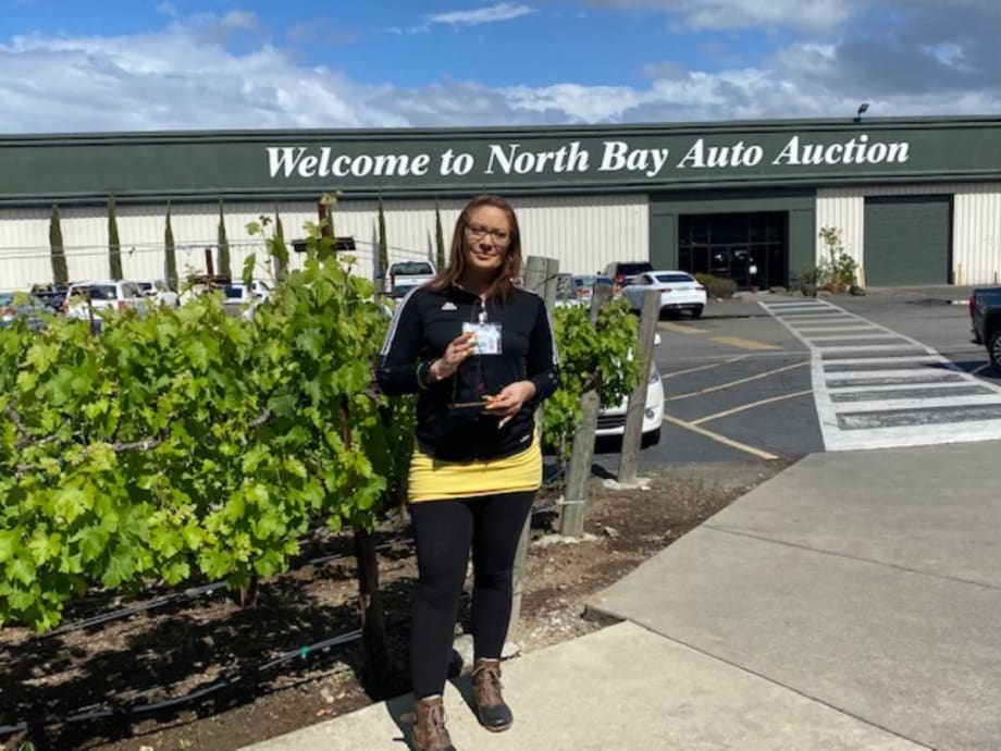 North Bay Auto Auction Earns Top Award From Merchants Fleet