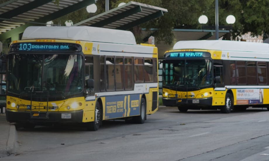Yellow DART public transit buses lined up.