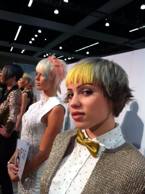 Goldwell's Color Zoom 2013...The Details and Reallusion!