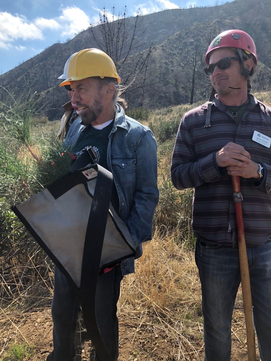Tea Tree Hair Care Speaks for the Trees: A Pledge to Plant 750,000 Trees by End of 2019