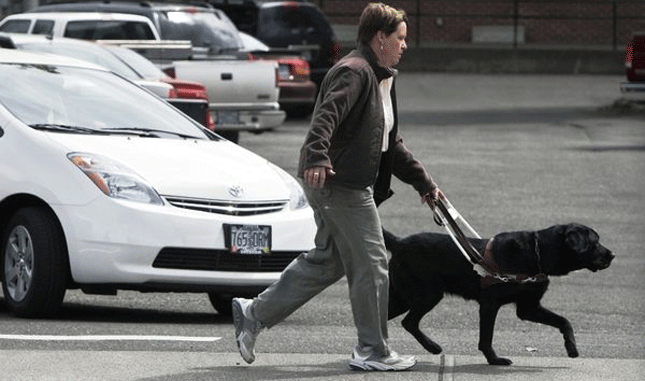 NHTSA Proposes New Minimum Sound Requirements for Hybrid and Electric Vehicles 