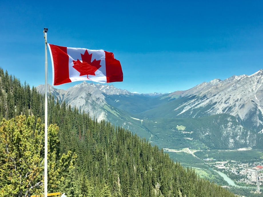 The Fleet Market in Canada