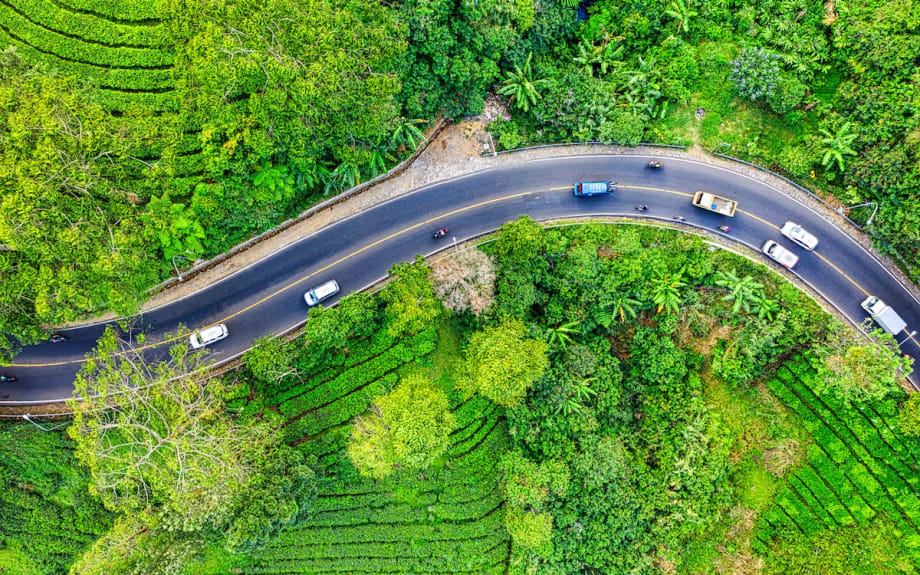 Turo Leads Sustainability in Carsharing Market 