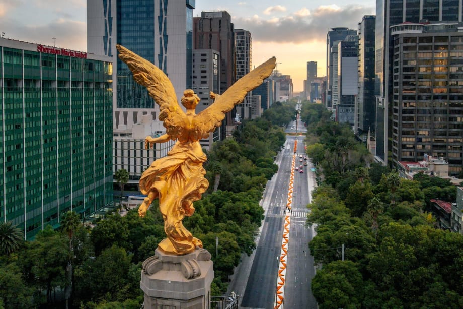 The State of the Fleet Market in Mexico