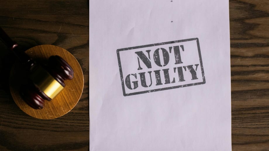 Split Verdict in K9 Shooting Case