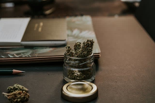 KY: Medical Marijuana Law Will Force K9 Retirements