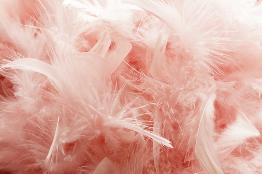 Trend Watch: Plumes