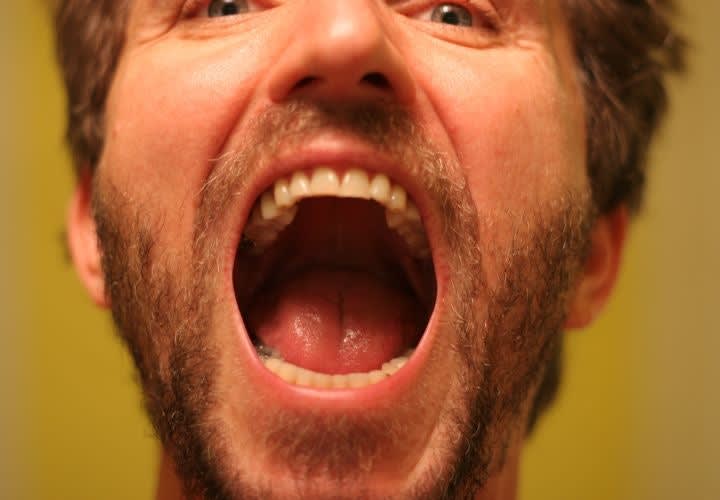 Of Bipeds, Fangs, and the Need for Dentu-Creme