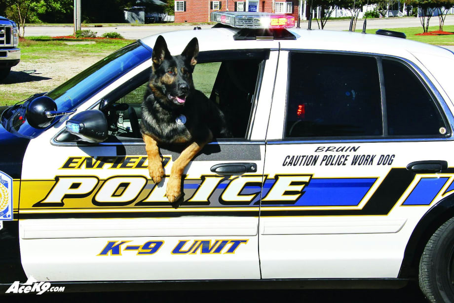 How To Retire a Police K-9
