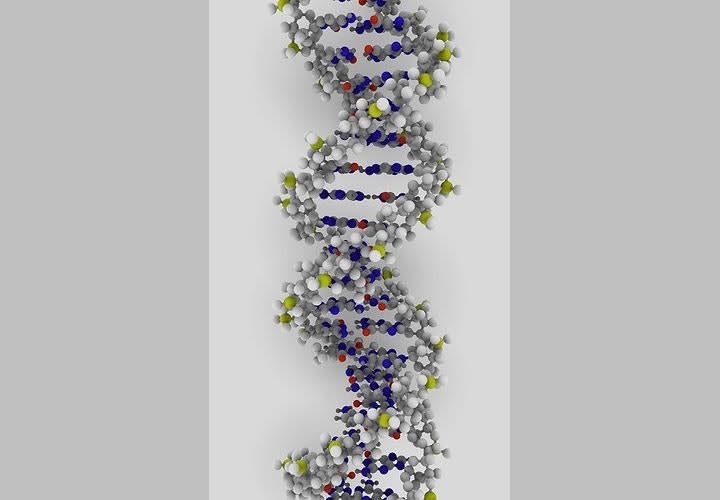 DNA Match Ensnares 'Grim Sleeper' Serial Killer In Los Angeles