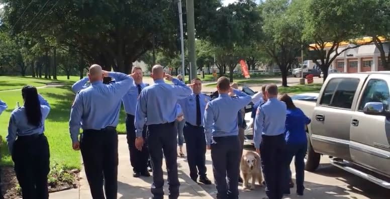 Video: Last 9/11 Search-and-Rescue Dog Dies in Texas at 16