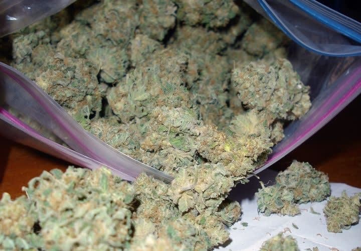 Colorado Cops Feel Handcuffed by Medical-Pot Changes