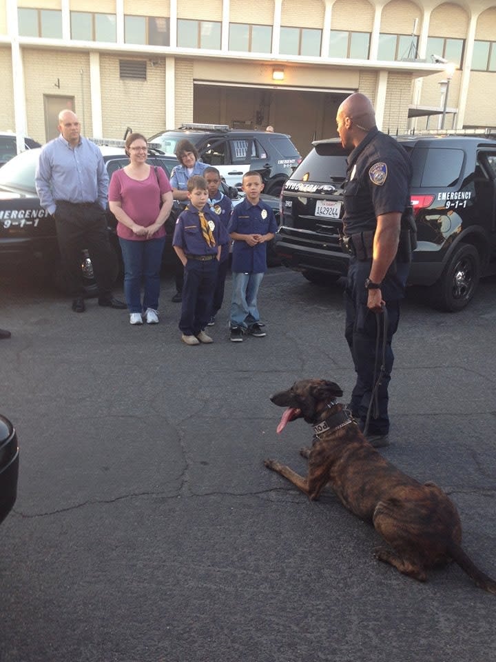 California K-9 Dies After Air Conditioner Fails in Patrol Car