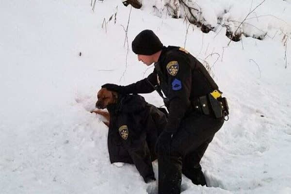 Photo Shows NY Sergeant Comforting Dog Hit By Car