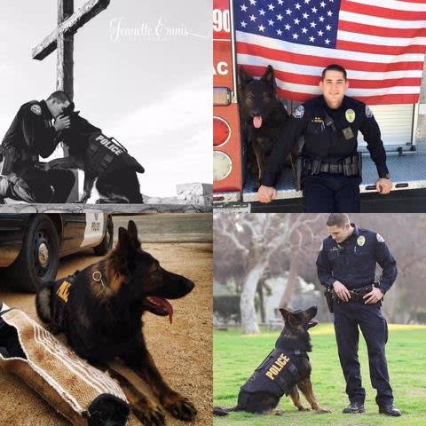 CA K-9 Dies from On-Duty Injuries