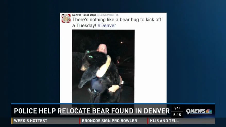 Video: Denver Officer's Pic with Bear Cub Goes Viral