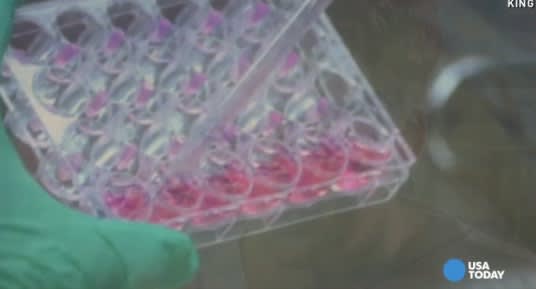 Video: More Than 40 Police Agencies to Get $79M to Test Rape Kits