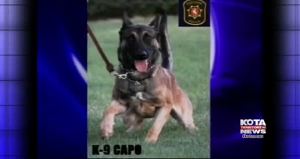 Video: Wyoming K-9 Saves Handler