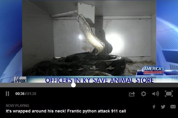 Video: Officers Rescue Store Owner Crushed by 125-Pound Python