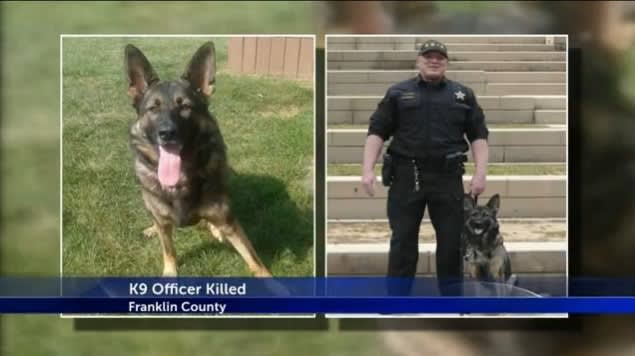 Video: Ohio K-9 Dies After Being Hit by Truck