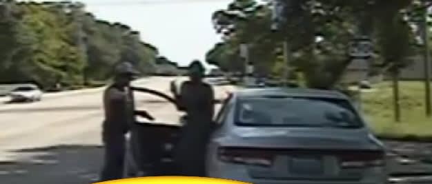 Video: Texas Trooper who Stopped Sandra Bland Charged with Perjury, to be Fired
